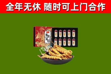 武夷山回收冬虫夏草价格